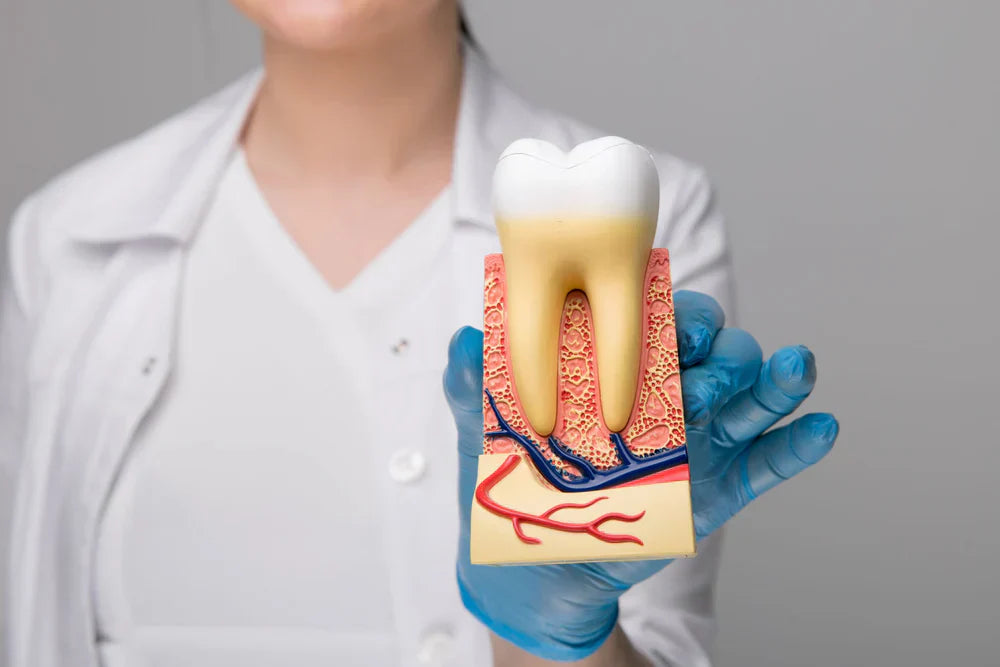 Study identifies potential link between oral bacteria and brain abscesses