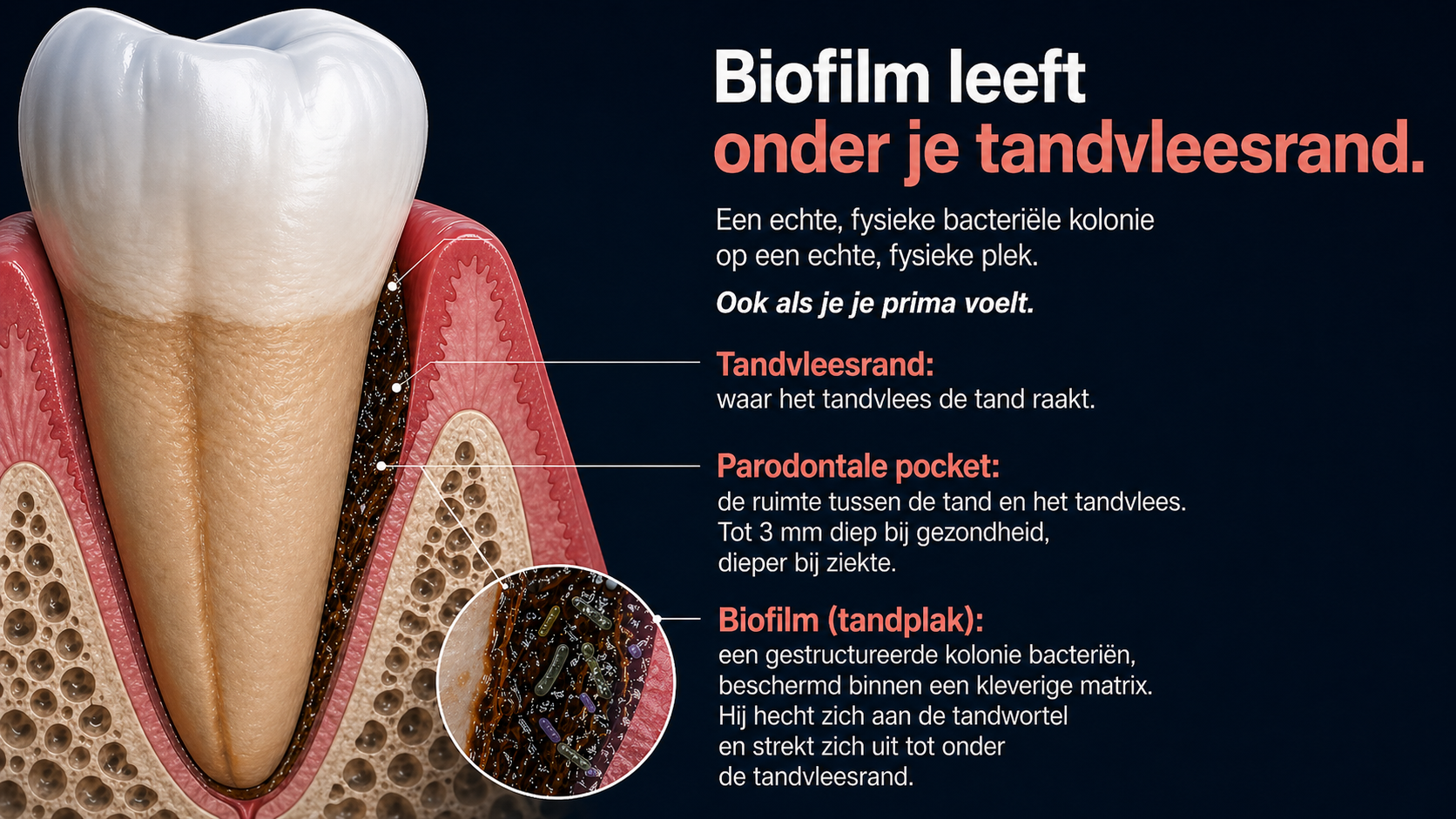 Klinische illustratie